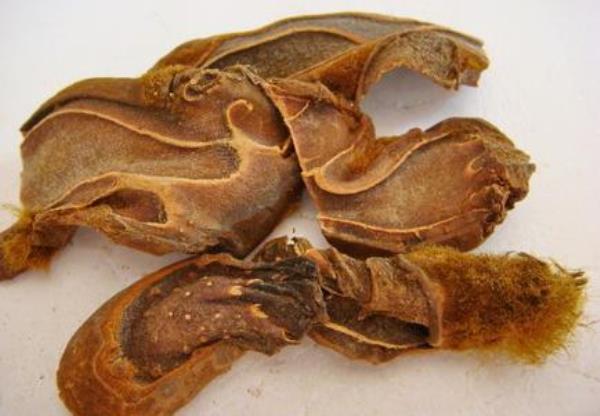 强膂 第1张 强膂