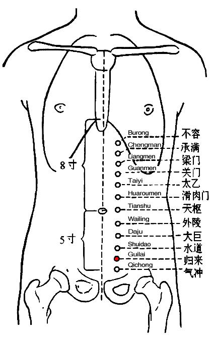 归来 第1张 归来