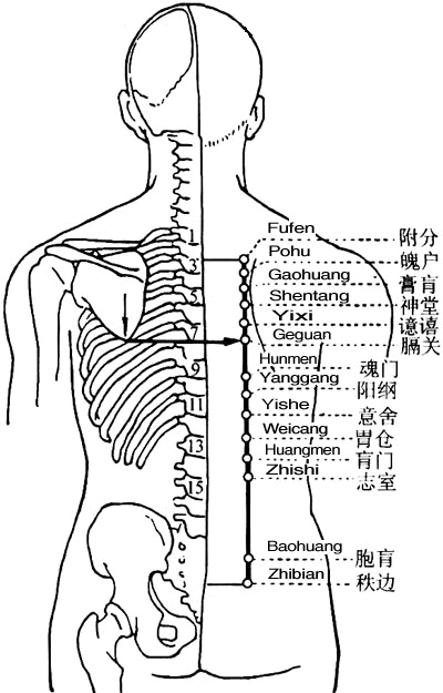 志室