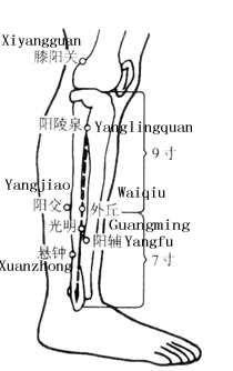 悬钟
