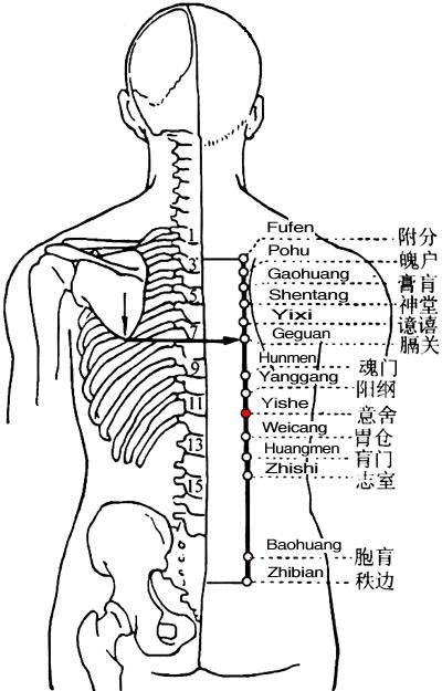 意舍