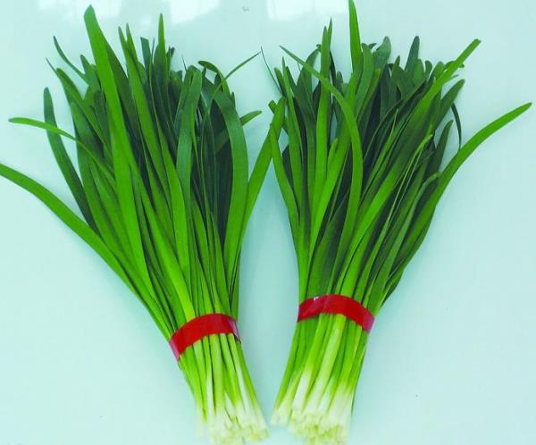 扁菜 第1张 扁菜