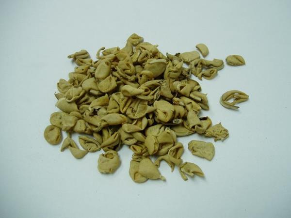 扁豆衣 第1张 扁豆衣