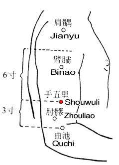 手五里 第1张 手五里