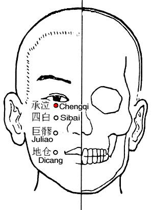 承泣 第1张 承泣