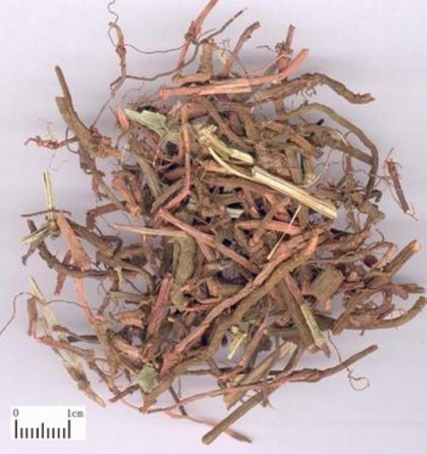 挂拉豆 第1张 挂拉豆