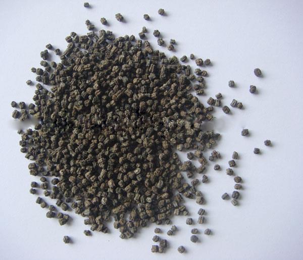 晚蚕矢 第1张 晚蚕矢