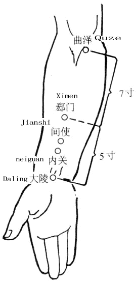 曲泽