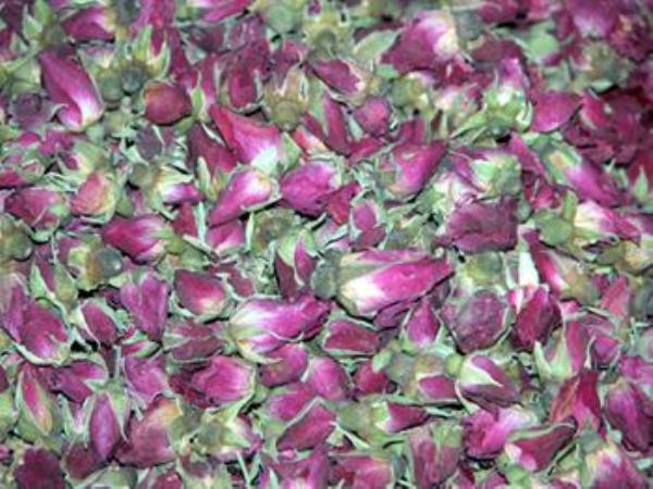 月贵花 第1张 月贵花