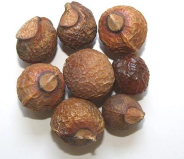 木挽子 第1张 木挽子