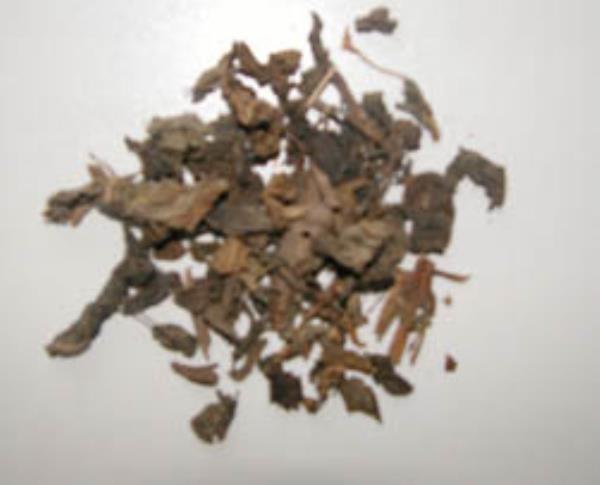杜虹花 第2张 杜虹花