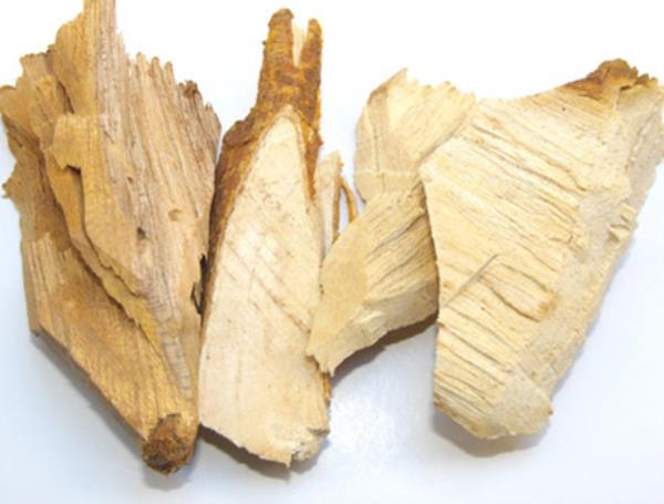 柘根 第2张 柘根