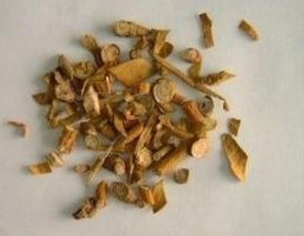 桑上寄生 第1张 桑上寄生
