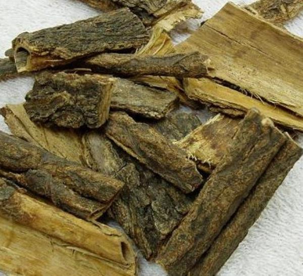 槿树皮 第1张 槿树皮