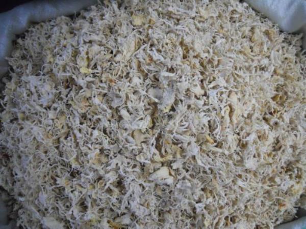 橘筋 第2张 橘筋