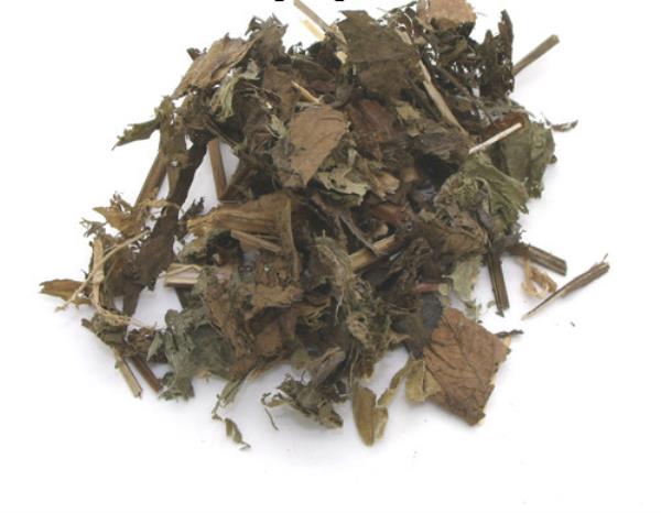 水泽 第2张 水泽