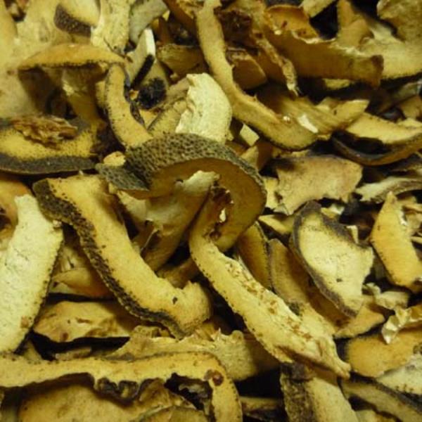 江枳壳 第2张 江枳壳