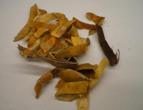 炙蒌皮 第2张 炙蒌皮