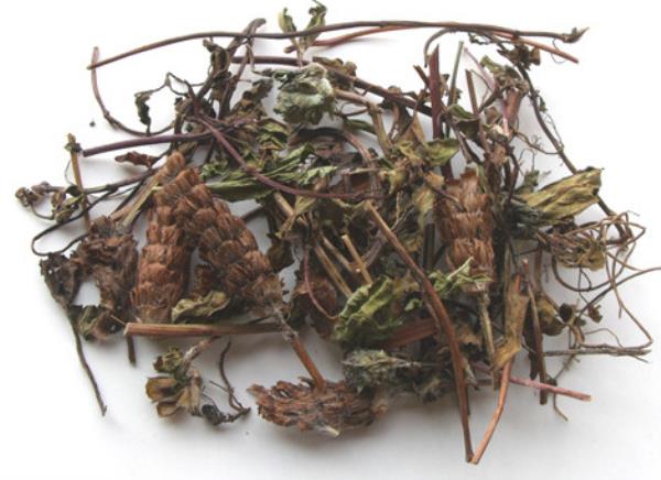 燕面 第2张 燕面
