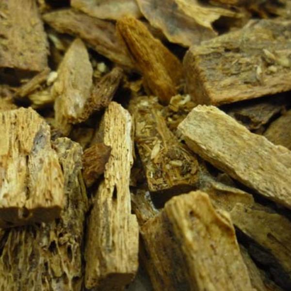 牛角胎 第1张 牛角胎