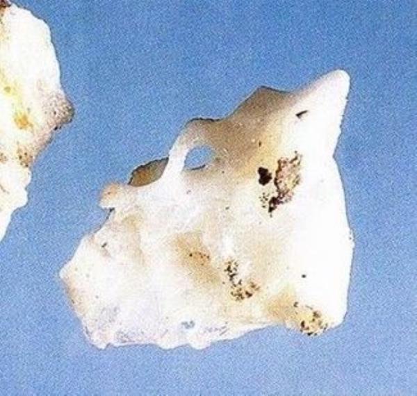 狄盐 第1张 狄盐