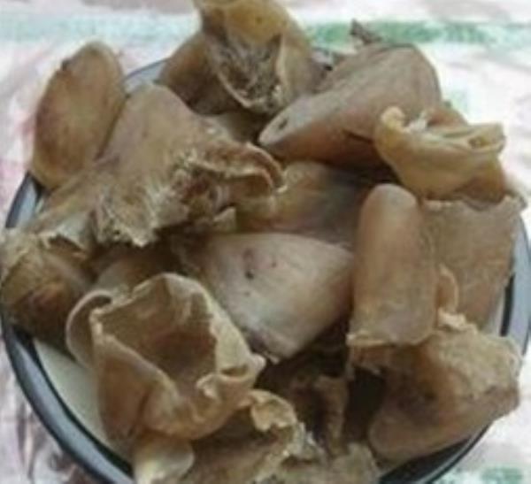 猪悬蹄甲