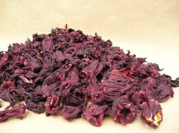 玫瑰茄 第1张 玫瑰茄
