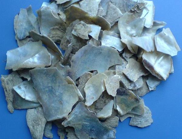 珠母 第1张 珠母