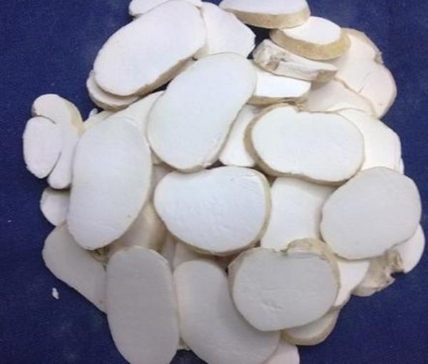 珠贝 第3张 珠贝