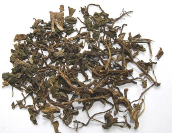 瓜仁菜 第2张 瓜仁菜