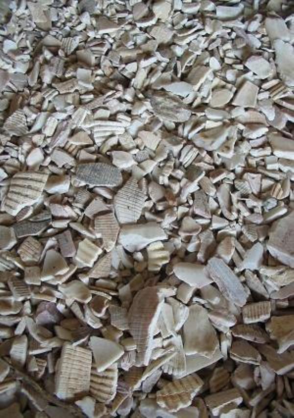 瓦楞 第3张 瓦楞
