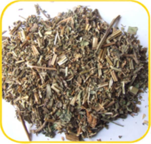 癞子草 第1张 癞子草