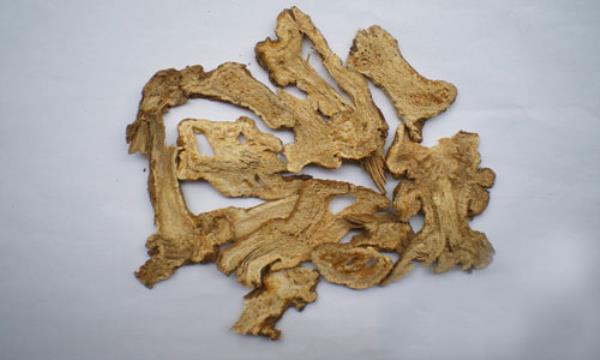白术 第3张 白术