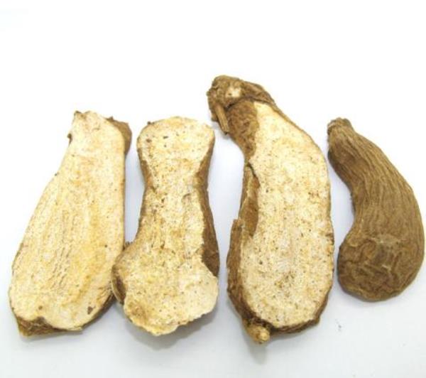 白术 第4张 白术