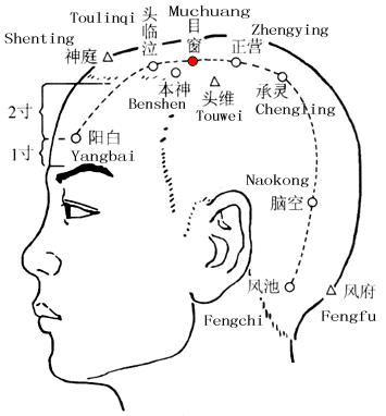 目窗 第1张 目窗