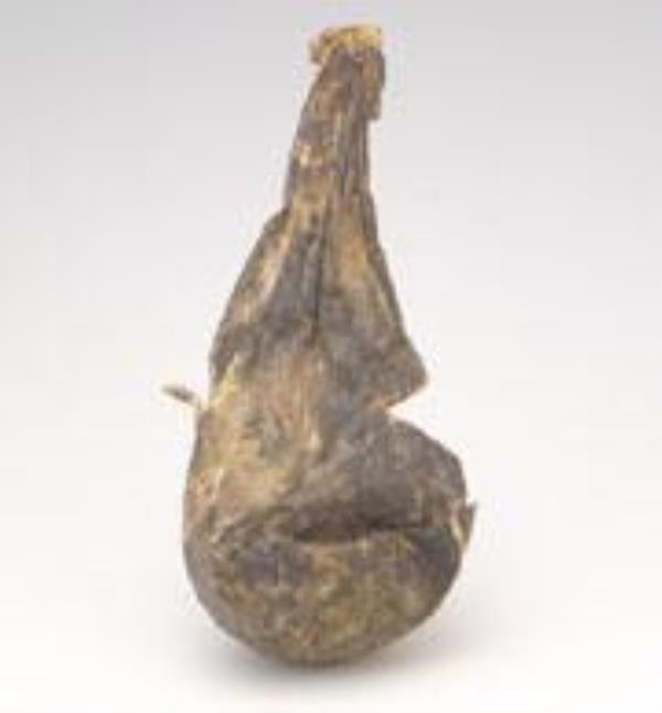 真熊胆 第1张 真熊胆
