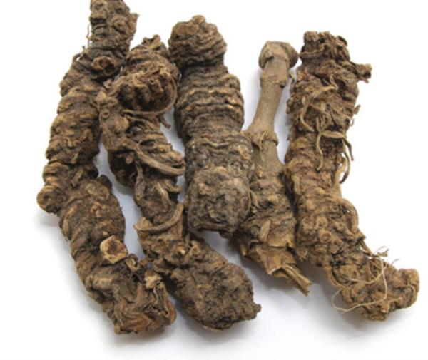 磨脚花 第1张 磨脚花