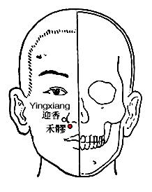 禾髎 第1张 禾髎