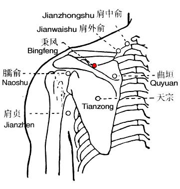秉风 第1张 秉风