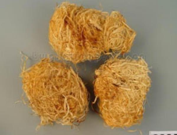 竹茹球 第3张 竹茹球