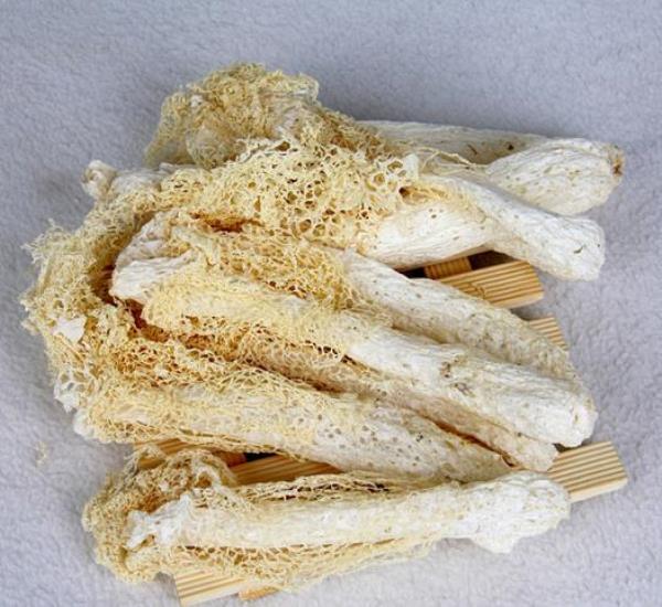竹蕈 第1张 竹蕈