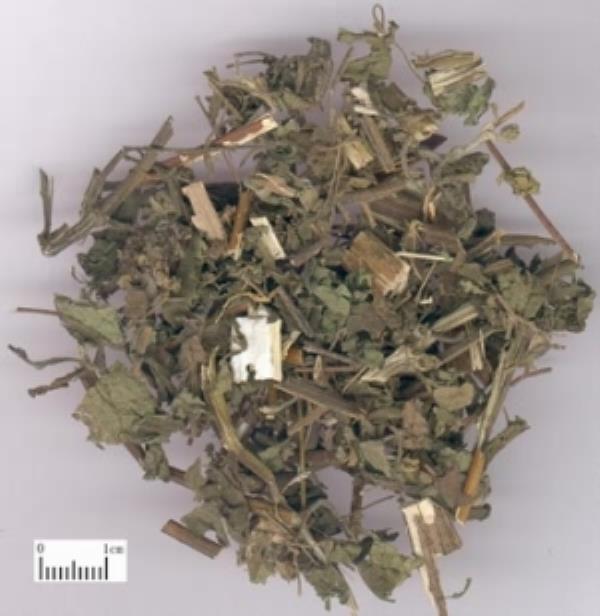粘为扎 第1张 粘为扎
