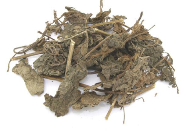 紫苏叶 第2张 紫苏叶