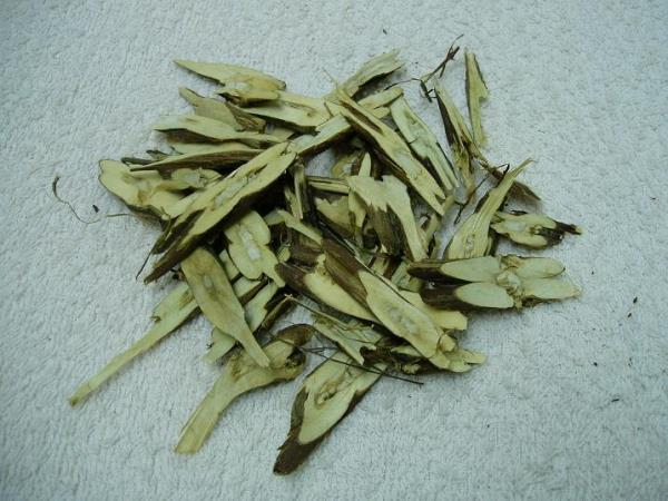 紫苏杆 第2张 紫苏杆
