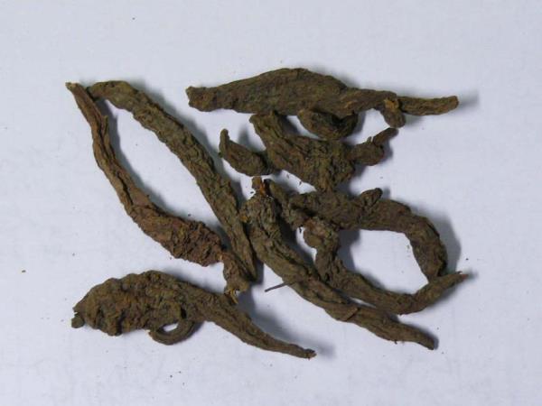 红大吉 第1张 红大吉