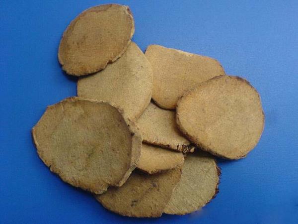 红蒲根 第1张 红蒲根