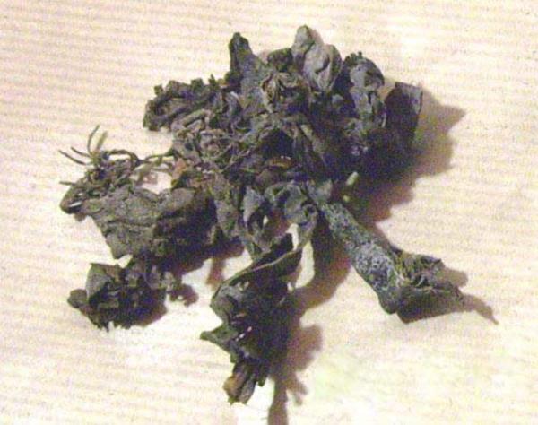 纶布 第2张 纶布