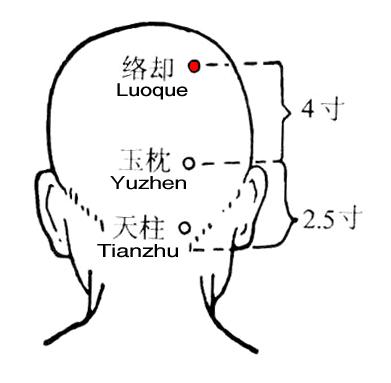 络却 第1张 络却