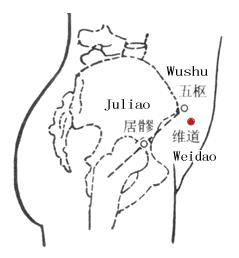 维道