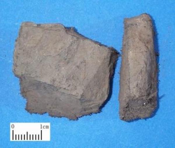 绿秋 第1张 绿秋